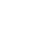 Evolution games at Winnings World Casino